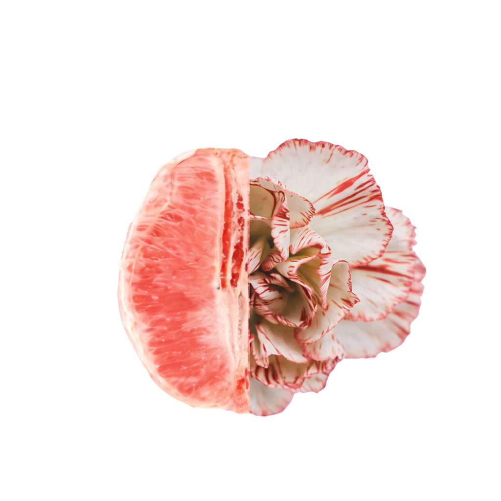 A Thoughtful, Ethical Approach to Cosmetic Gynecology