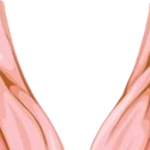 Clitoral Hood Reduction in Chandigarh | Dr Nitasha Gupta